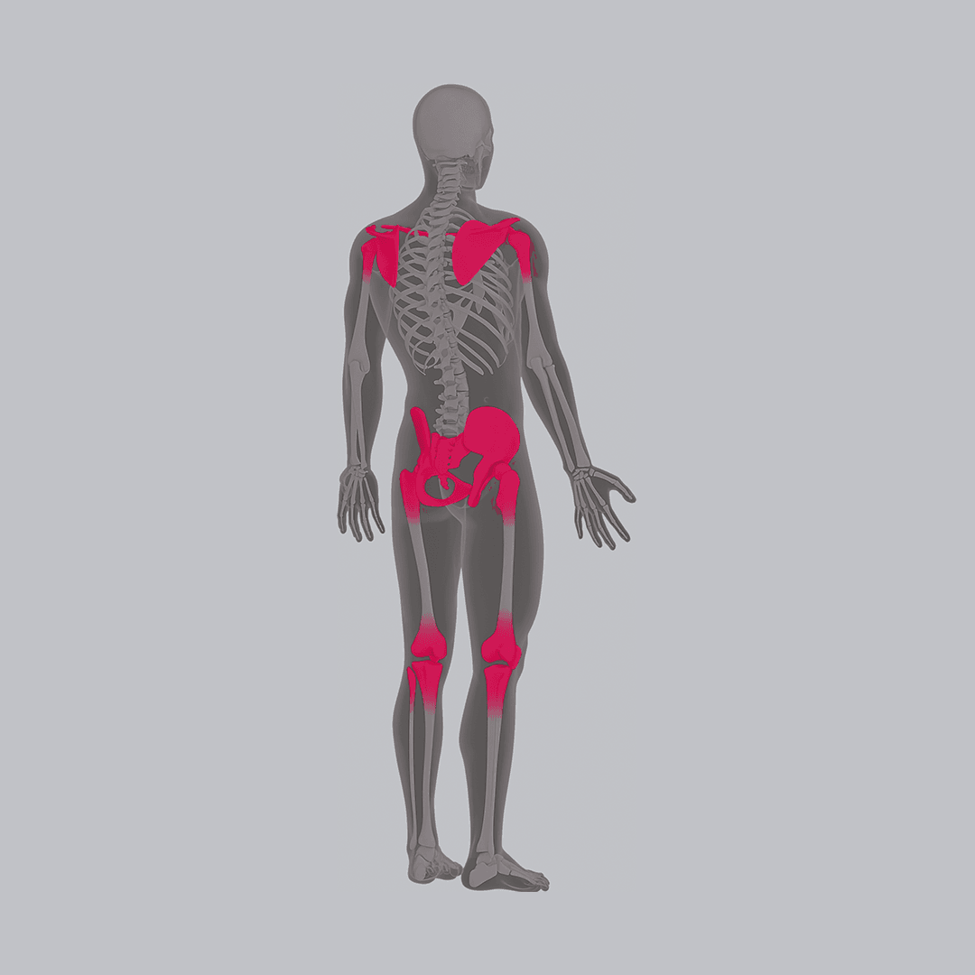 Hombro, Cadera y Rodilla