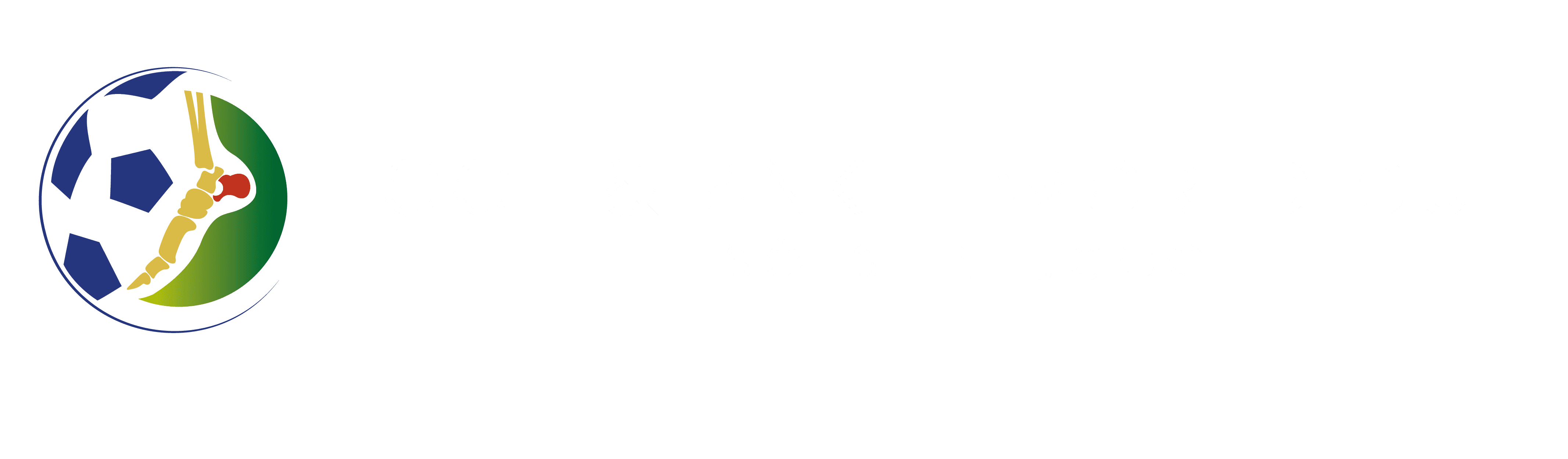 Foot and Ankle World Cup