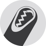 produtos de uso unico